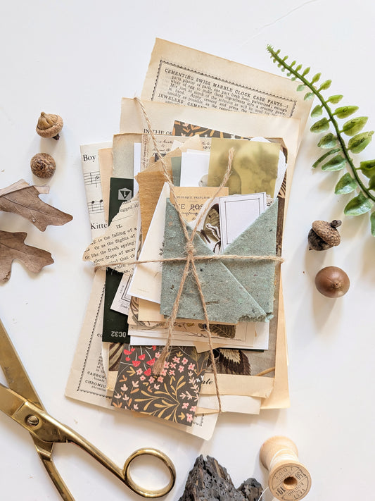 "Botany" Ephemera Bundle