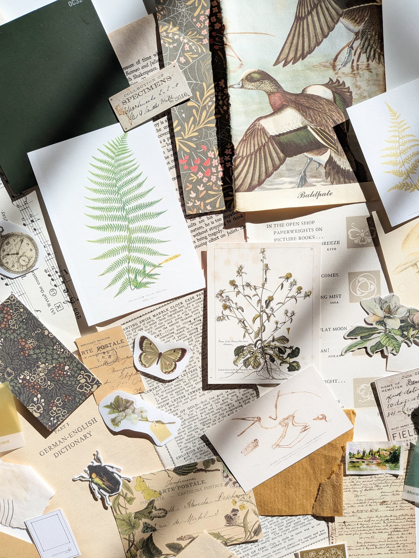"Botany" Ephemera Bundle