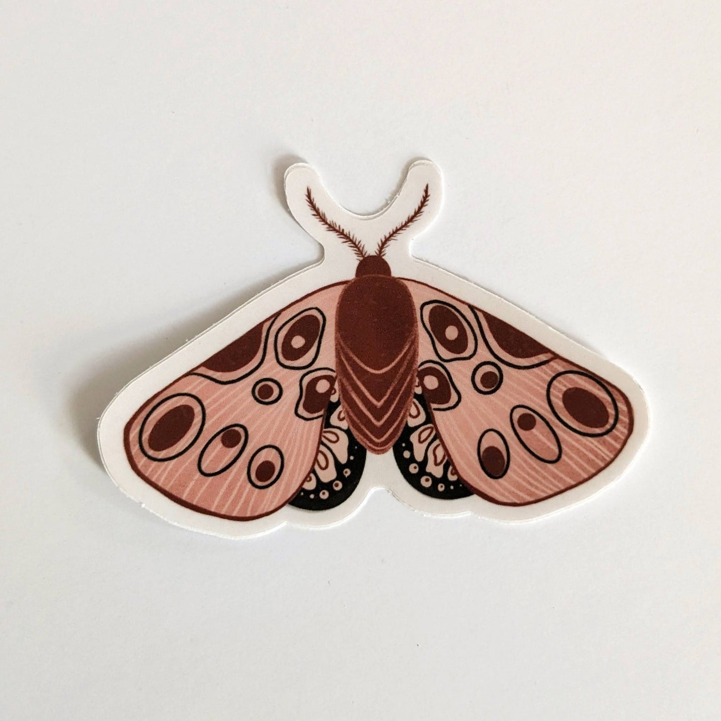 Moth Vinyl Sticker