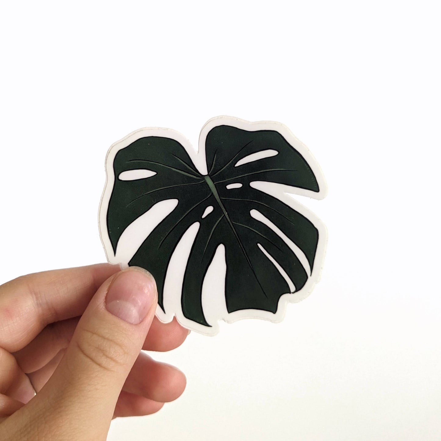 Monstera Leaf Vinyl Sticker