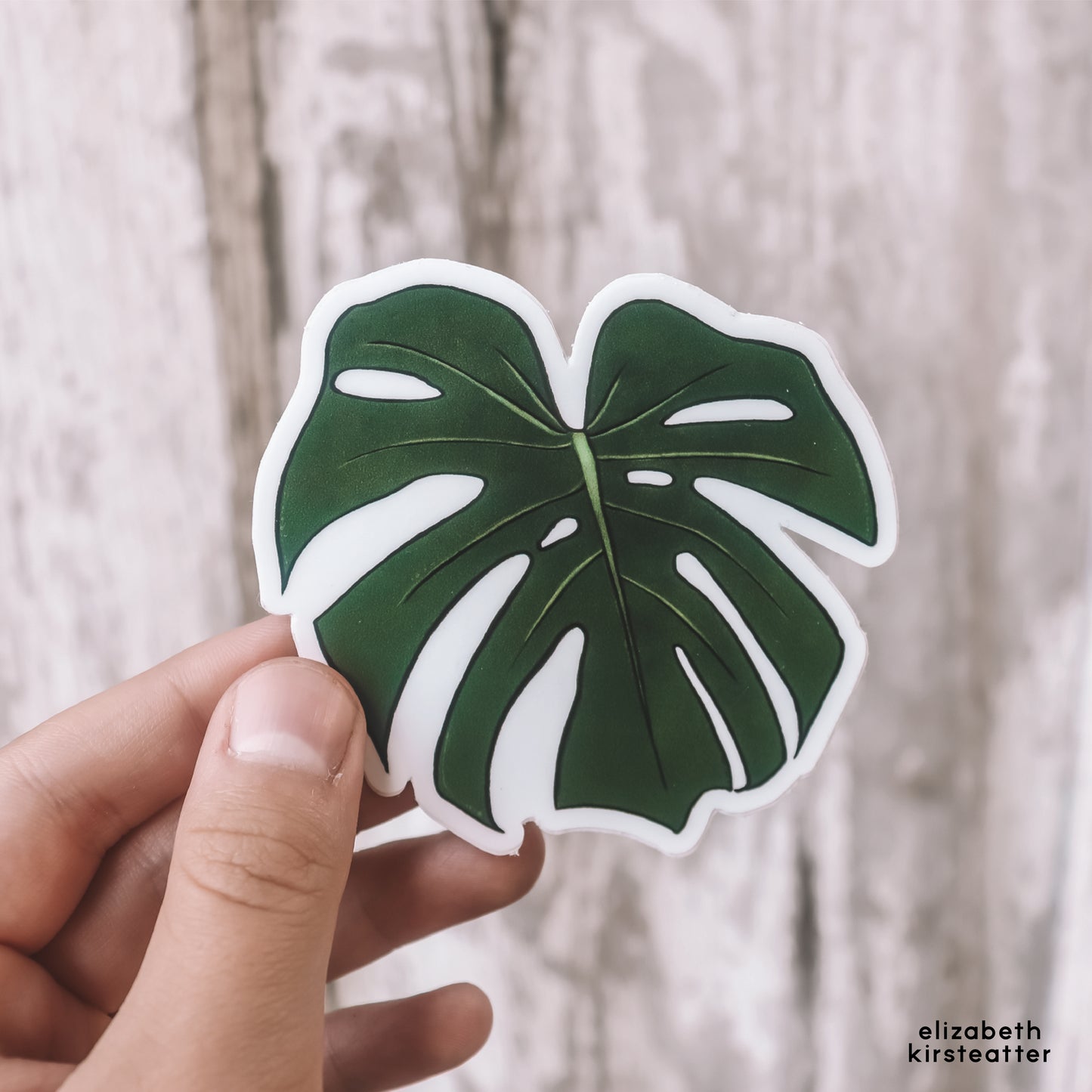 Monstera Leaf Vinyl Sticker